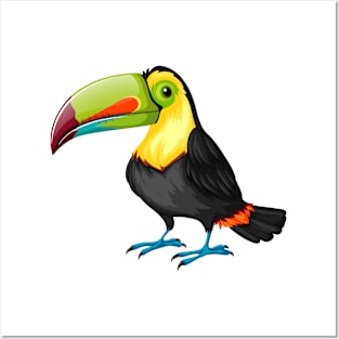 Beautiful and Cute Toucan Bird Posters and Art